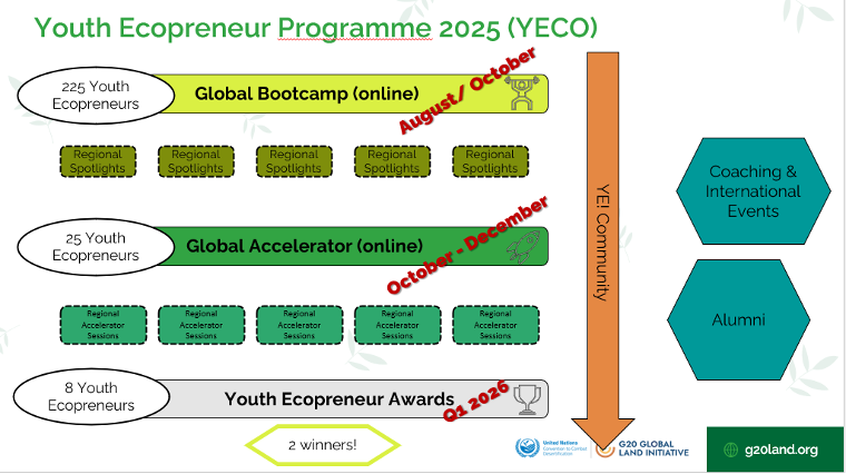 YECO structure